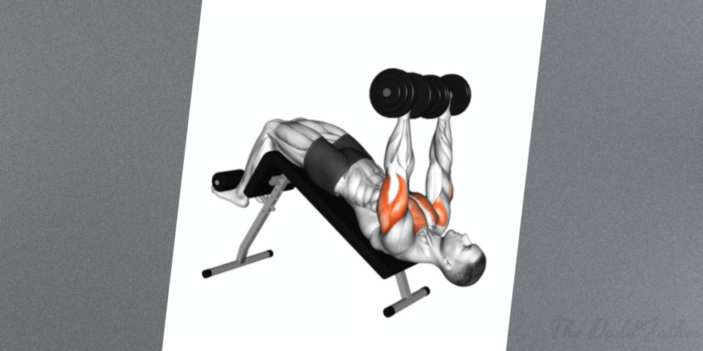 dumbbell chest workout decline bench press bottom