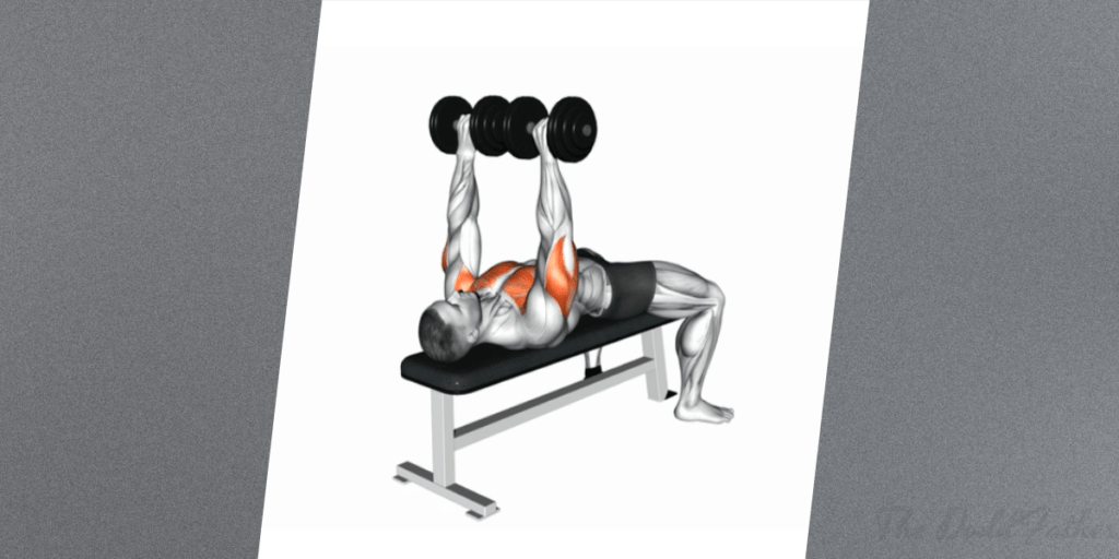 dumbbell chest workout press