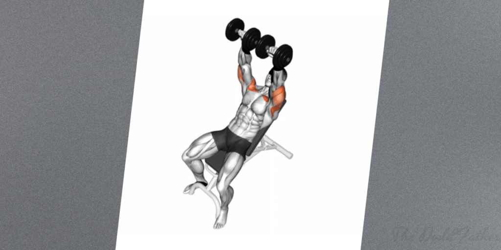 dumbbell chest workout incline bench press