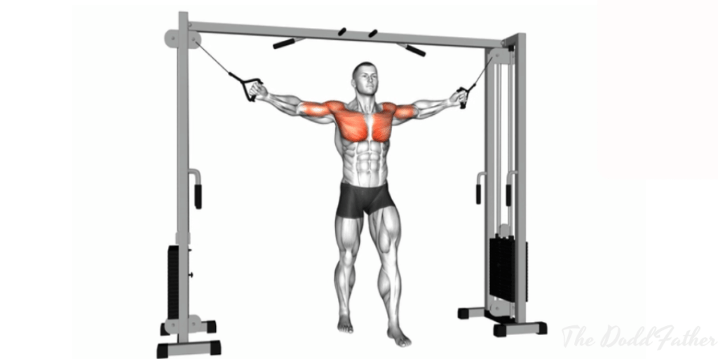 cable crossover starting position