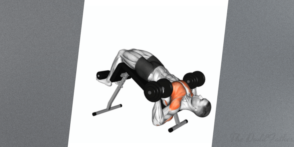 dumbbell chest workout decline press