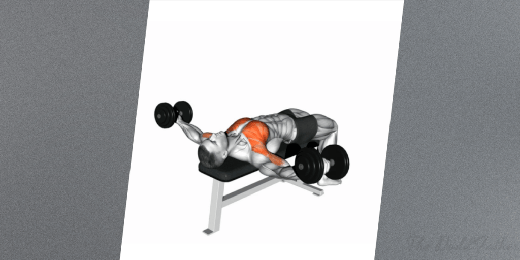 dumbbell chest workout flyes