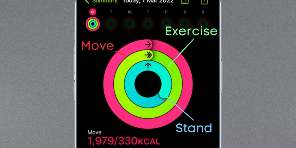 3 fitness rings iphone