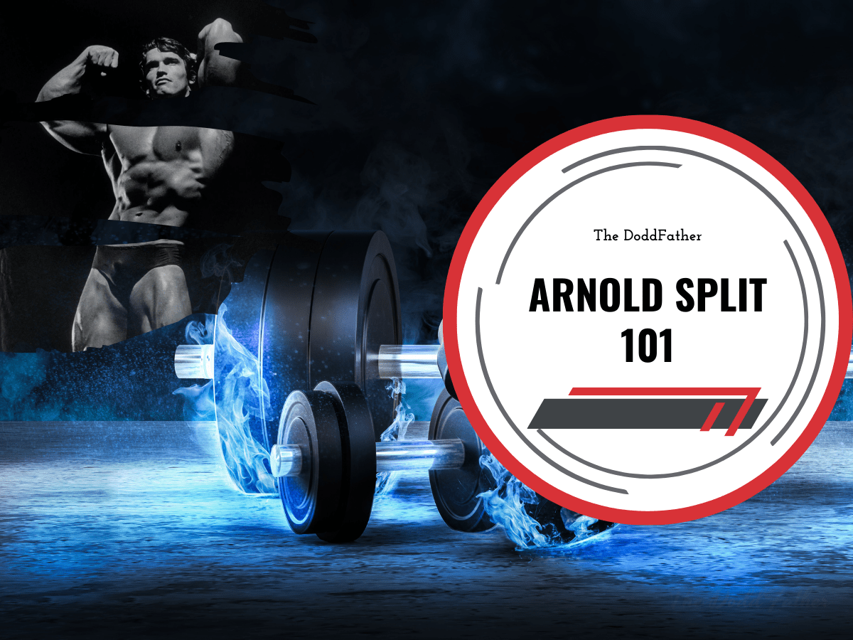 Arnold Split Ultimate Workout Plan