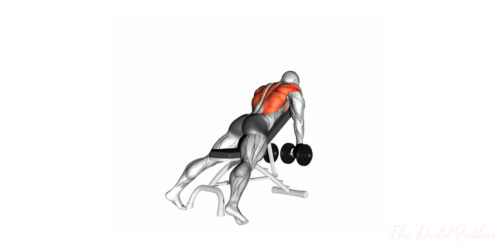 chest supported row starting position