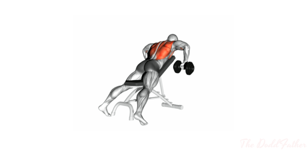 chest supported row concentric