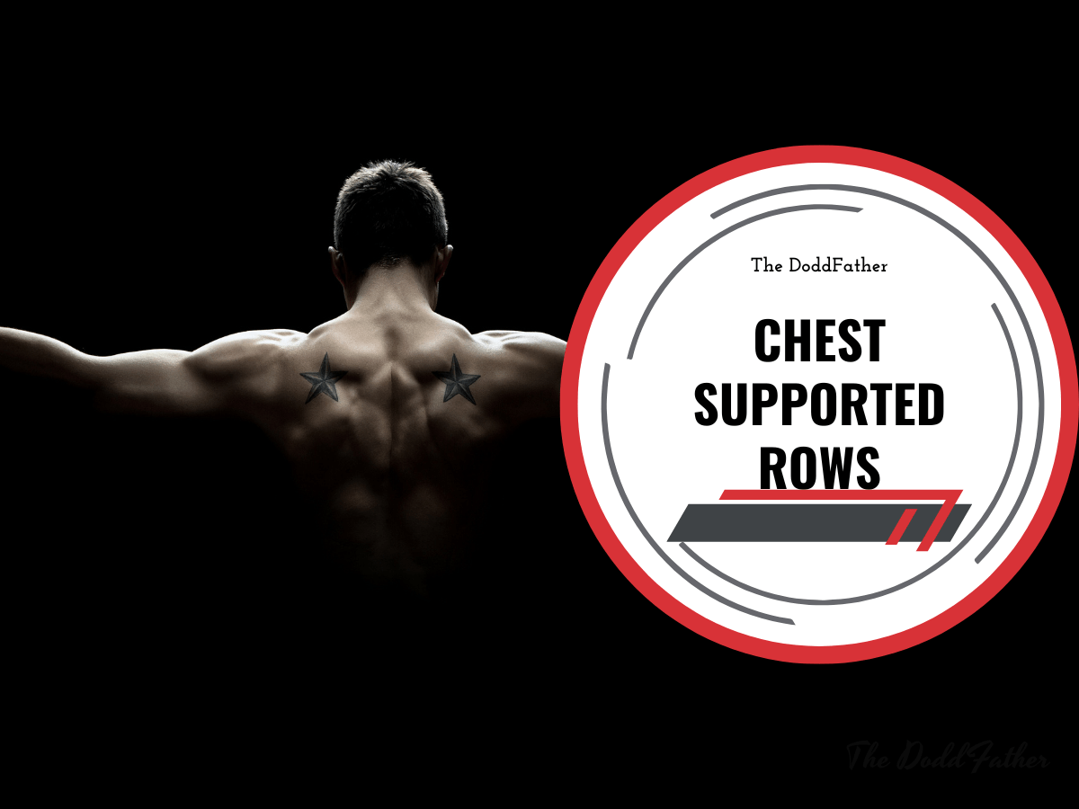 chest supported rows